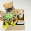 Love Box For Him