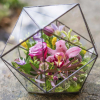 Aranjament floral