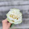 Buchet trandafiri albi "So Pure" - imagine 2