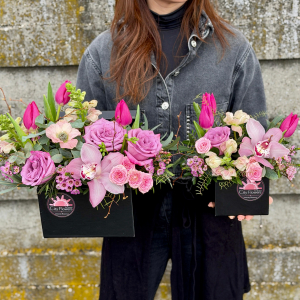 Set 2 cutii "Generation box"