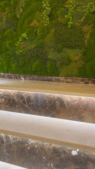 Un colț de natură care nu are nevoie de apă🌿

#pereteverde #greenwall #mosswall #mușchistabilizat #decorverde #designinterior #decorinspirat #naturăacasă #verdeacasă #plantwall #verticalgarden #greeninterior #homedecor #fărăîntreținere #naturalstyle #interiordesign #decordiferit #mossart #greenstyle #biophilicdesign #peretevii #naturaincasa #inspiratieverde #amenajareinterioară #detaliinaturale
