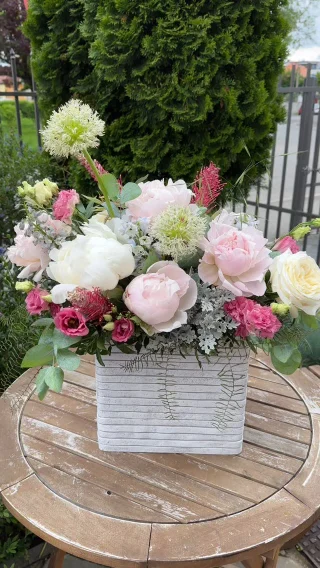 Bună dimineața!💗🌿

#buchet #buchetpersonalizat #floriSibiu #pivonii #buchetpivonii #cityflowersbyioana #cadouperfect #povestiflorale #primavara #pinkvibes #florariaSibiu #buchetedespeciale #flowersofinstagram #flowerlove #floripentruEA #happyflowers #instaflowers #luxuryflowers #peonybouquet #peonieslover #floristromania #arajamenteflorale #zambetinfloare #femeiefrumoasa #emotioninpink
