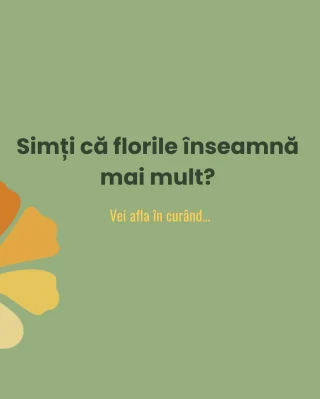 #scoaladefloristica #terraflowers #cursuridefloristica #floristromania #educatieflorala #flowerdesign #learnfloristry #viitorinfloristica #creativecareer #cityflowersbyioana #centrudeevaluare