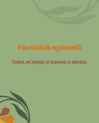 #scoaladefloristica #terraflowers #cursuridefloristica #floristromania #educatieflorala #flowerdesign #learnfloristry #viitorinfloristica #creativecareer #cityflowersbyioana #centrudeevaluare